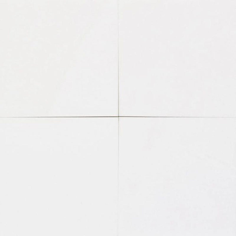 18" x 18" Marble Marble Look Wall & Floor Tile, Honed White