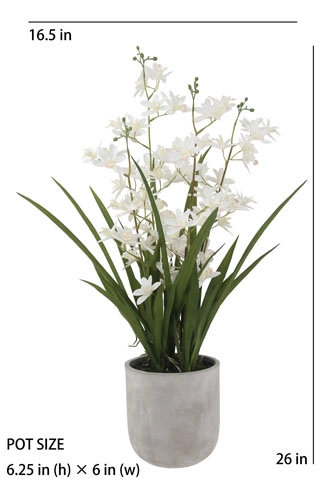 26" Artificial White Orchid in Vanda Pot