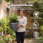 Planter-1948601841