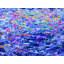 Blue Density Print by Drew Gaffney-65851975-65826268