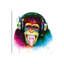 Dj Monkey by Patrice Murciano - Wrapped Canvas Print-1353802