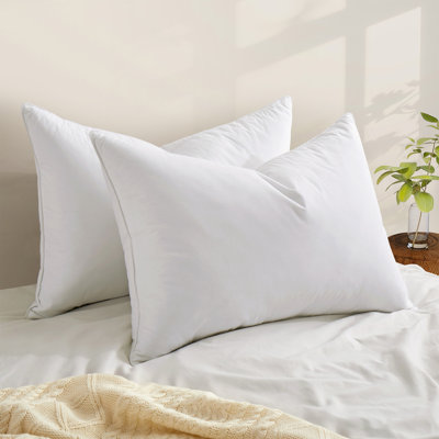 233 Thread Count 100% Cotton Grey Goose Feather & Down Bed Pillows – Set of 2 Fluffy & Supportive Hotel Style Pillows for Back & Side Sleepers