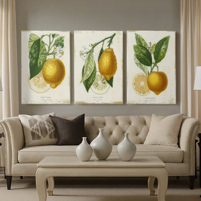 French Lemon I  -Custom Wrapped Gallery Canvas - 3 Pieces