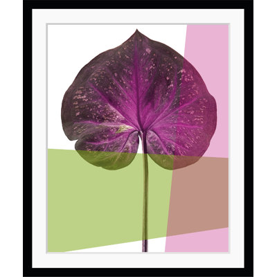 Leaf - Single Picture Frame Print