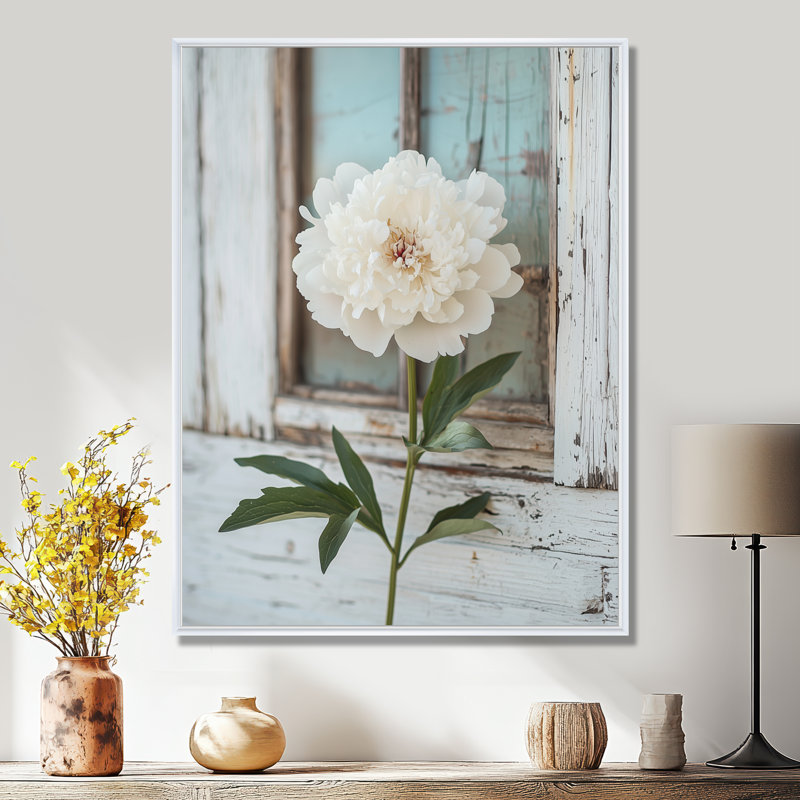 Photo pivoines par la grange laitière II - pivoines, art mural, H 20 po x l 12 po, Reproduction avec cadre flottant, Blanc