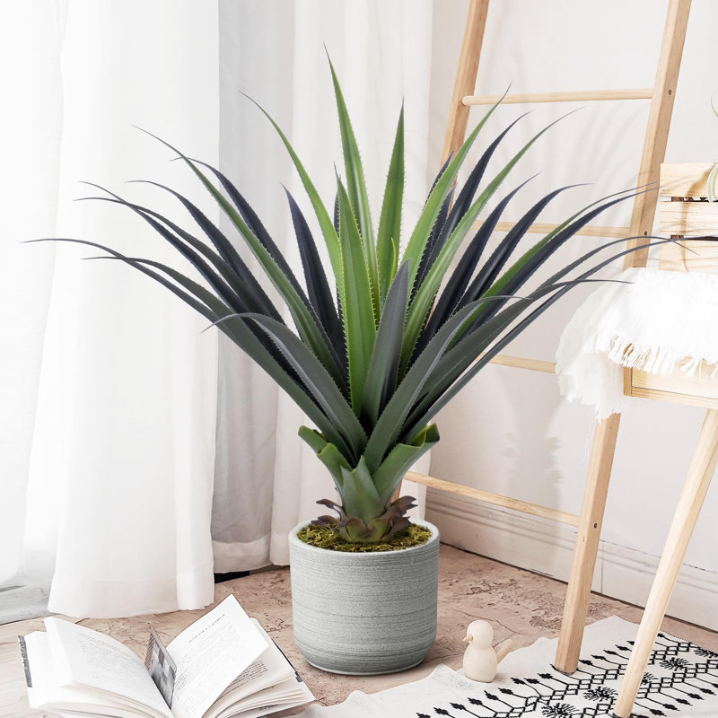 Rowel Faux Plant, 90cm H x 101cm W x 101cm D