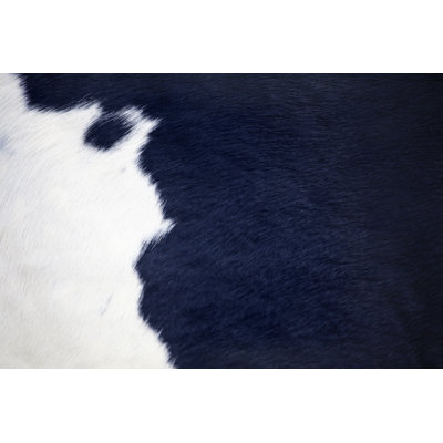Black and White Cow Hide by Stocknshares