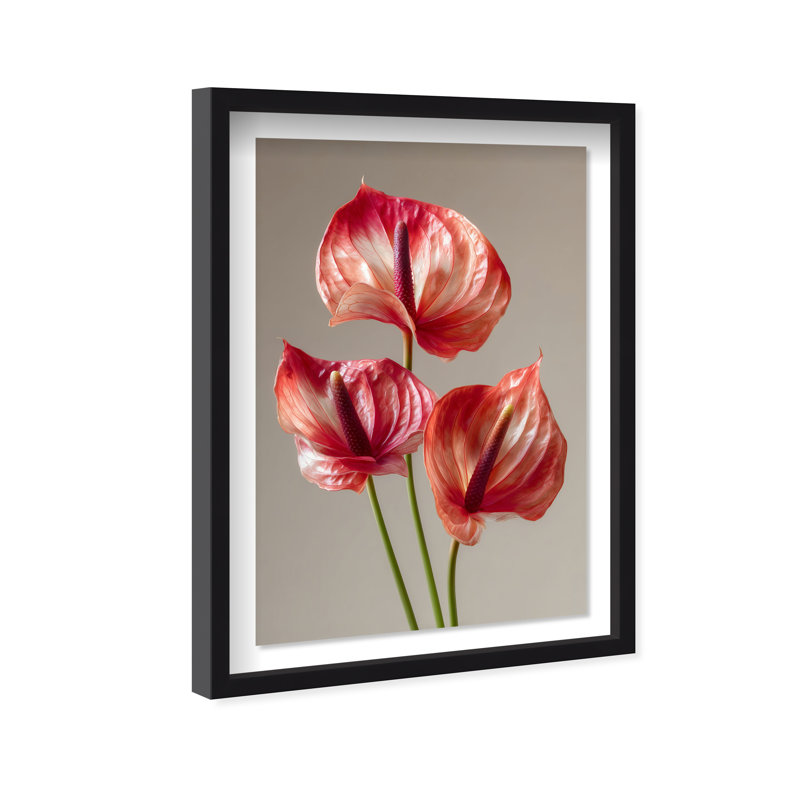 Crimson Silk Veins II Framed Graphic Art, 31.5"H x 21.5"W, Black Shadowbox