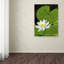 «White Lotus» par Cattima, reproduction de photo sur toile tendue-21175684