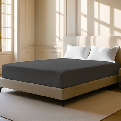 400TC Sateen Solid Cotton Fitted Sheet Fits Upto 8" Deep Pocket