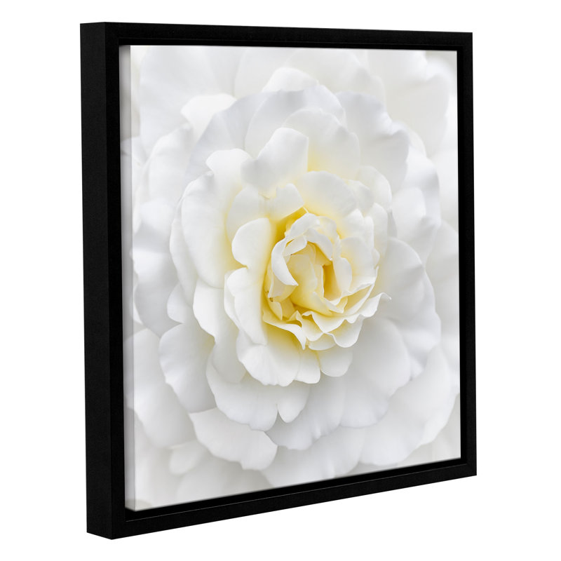 " White Rose ", 10" H x 10" W x 2" D, Floater Frame