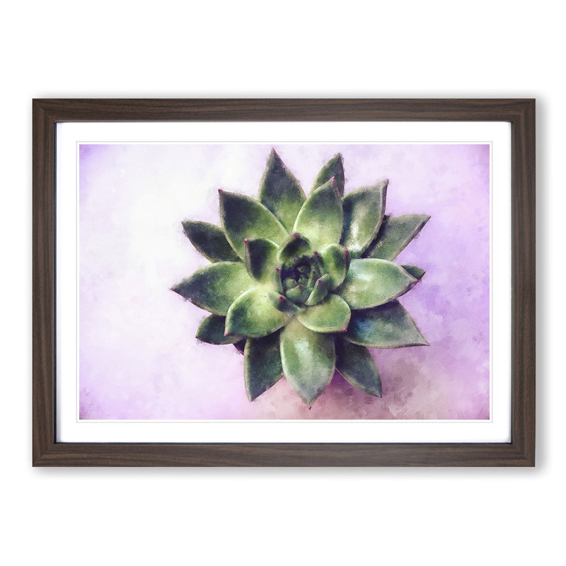 A Green Succulent Plant - Single Picture Frame Painting on MDF, 45cm H x 63cm W x 2cm D, Walnut
