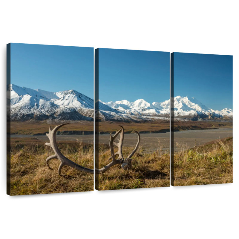 Alvord Denali Caribou Antlers, 32" H x 50" W
