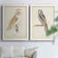 Barn Owl - reproduction de cadre photo sur toile 2 pièces-824961998-824961999