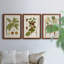 Feuilles antiques I - ensemble de 3 peintures sur toile encadrées-371832426-371832427