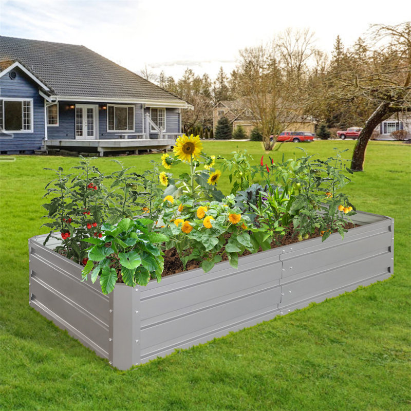 Lit de jardin en métal 6X 3 X 1 Ft, Gris, H 11,8 po x l 70,8 po x P 35,4 po