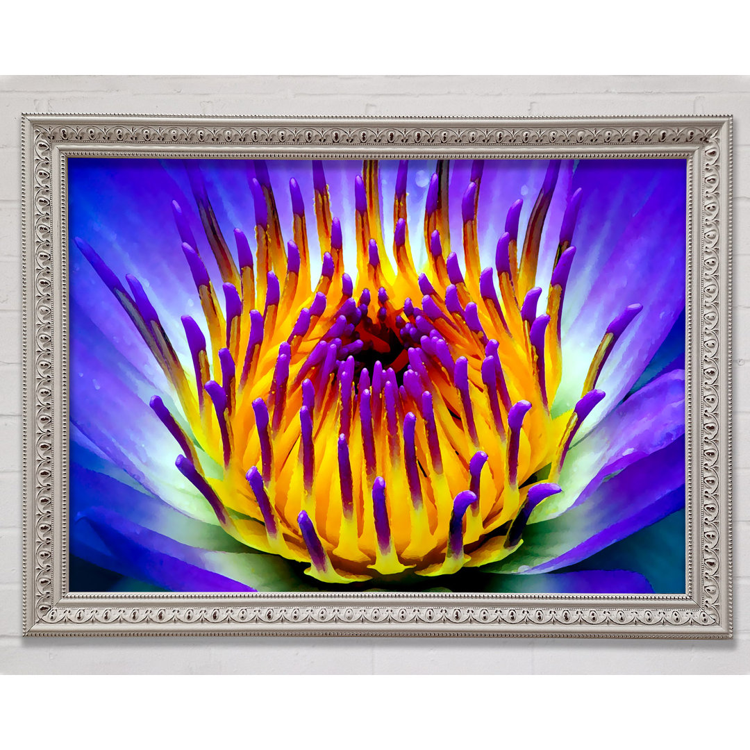 Gerahmtes Leinwandbild Vibrant Purple Water Lily