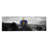 Massachusetts Flag, Cape Cod Panoramic Grunge Ocean Graphic Art on Canvas-399807842