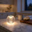 Lampe-cadeau portative en acrylique à DEL 8 po RVB Mia-133736492