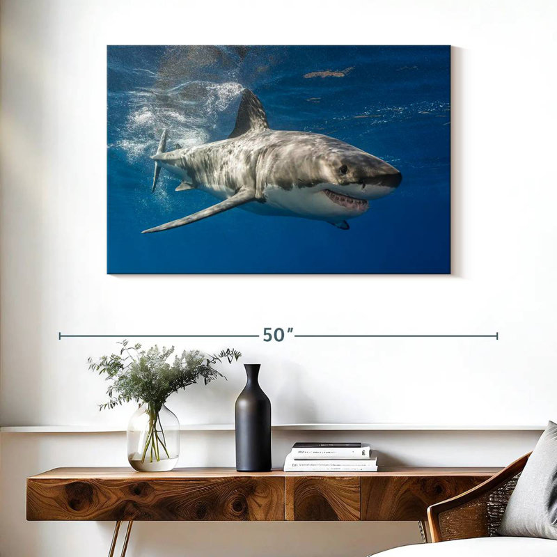Shark, 26" H x 39" W