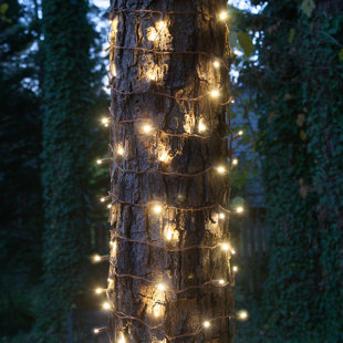 Lumière d'enveloppe de coffre de noël de 100 led