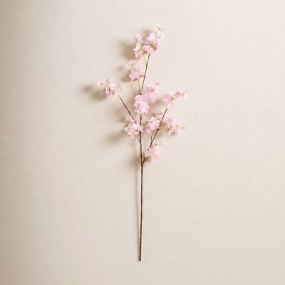 Cherry Blossom Stems