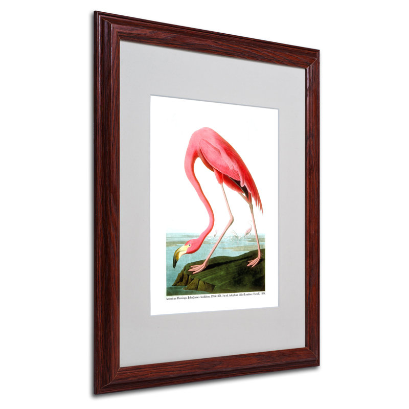 « american flamant rose », reproduction d’art sur toile encadrée, H 14 po x l 11 po x P 0,5 po, Brun