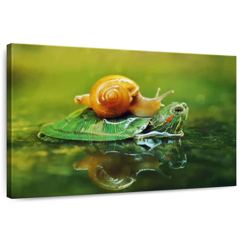 Brampt Snail On Turtle, 34" H x 51" W
