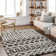 Jacodi Southwestern Indoor Rug