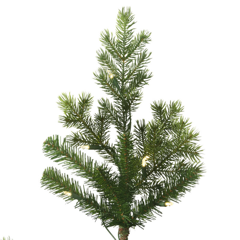 Eagle Fraser Lighted Artificial Fir Christmas Tree, 12ft