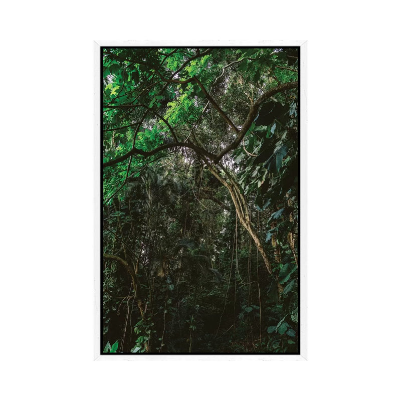 Hawaiian Forest by Bethany Young - Print on Canvas, White Framed, 66.04cm H x 45.72cm W x 3.81cm D