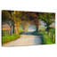 Alvord Fall Dirt Road-107704518