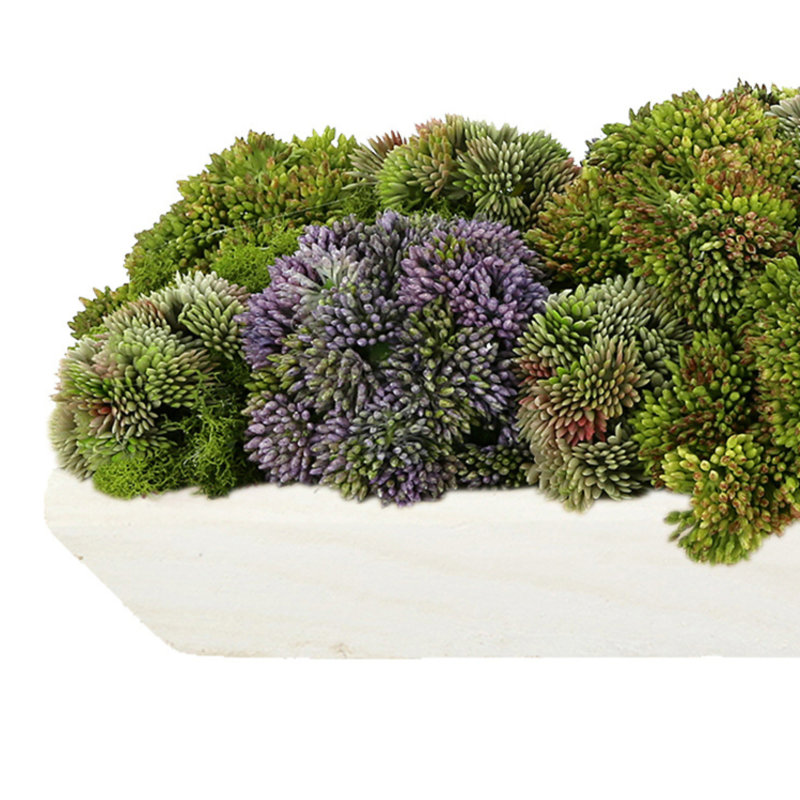 Assorted Sedum and Moss Arranged in Wood Planter, Green/Purple