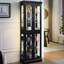 Armoire vitrée lumineuse pour garde-manger encastré, avec éclairage intégré et cuisine à charnières, avec tablettes réglables internes