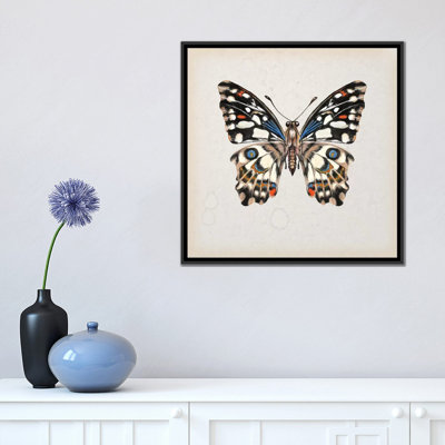« papillon study ii », impression sur toile