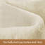Machine Tufted Area Rug-1696776648