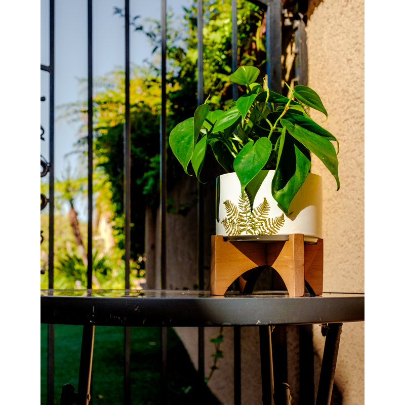 Caspian Ceramic Pot Planter