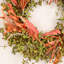 Mini-couronne d'eucalyptus 24 po