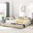 Velvet Storage Daybed-657106426-645695356