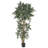 Green Ash Silk Tree