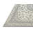 Oriental Indoor Rug-145953487