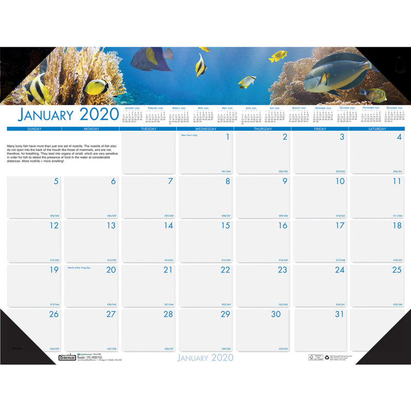 Calendrier pour tapis de bureau sea life, l 22 po x P 17 po