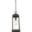 Mini-luminaire suspendu 1 lumière Agawam