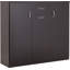 30 Pair Shoe Storage Cabinet
