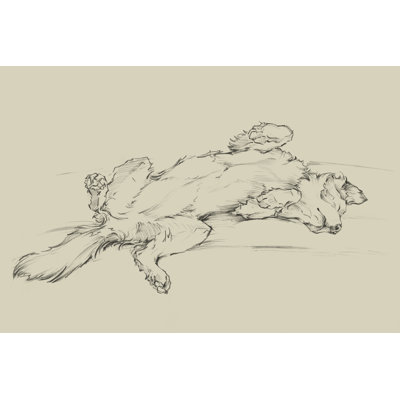 Chien fatigué III