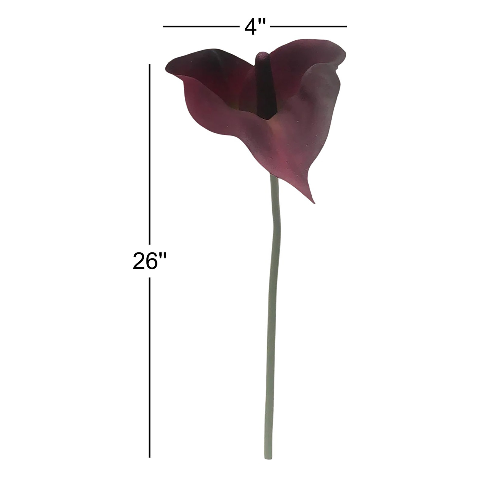 Calla Lily Stems