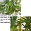 Bambou artificiel, arbres artificiels en pot avec tronc réaliste et feuilles de soie, plantes de bambou artificielles-1856289484