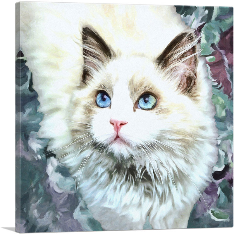 «Ragdoll Cat Breed Glamour», reproduction d'art sur toile tendue, H 26 po x l 26 po x P 1,5 po