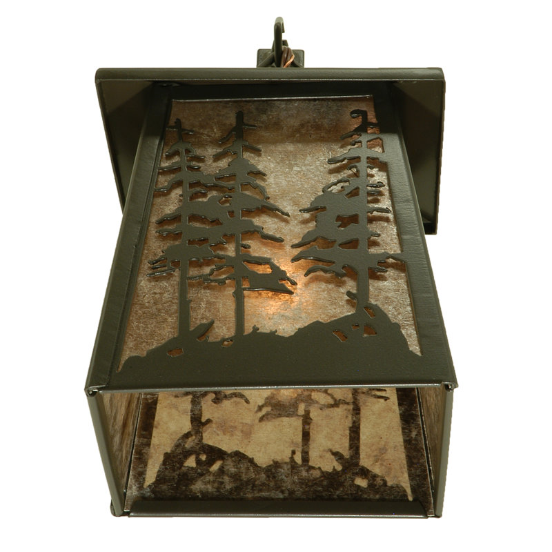 Rustic Lodge 1 - Light Outdoor Wall Lantern, Timeless Bronze