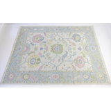 Riley Jane Hand Knotted Wool Oriental Area Rug